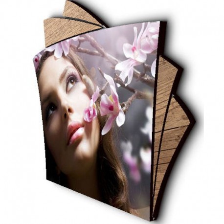 شاسی طرح دار جی اچ استور کد F171