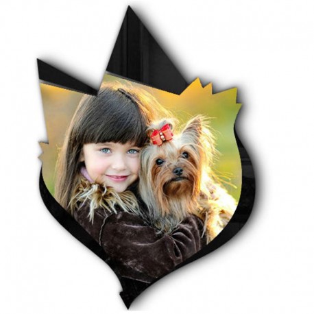 شاسی طرح دار جی اچ استور کد F201