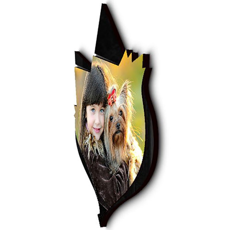 شاسی طرح دار جی اچ استور کد F201