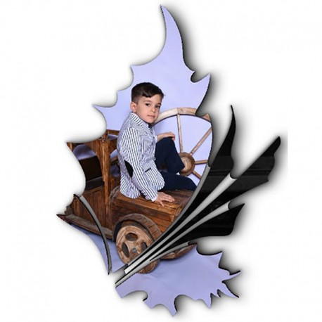 شاسی طرح دار جی اچ استور کد F238