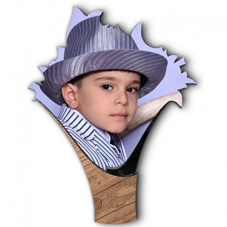 شاسی طرح دار جی اچ استور کد F241