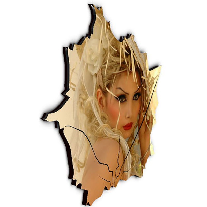 شاسی طرح دار جی اچ استور کد F265