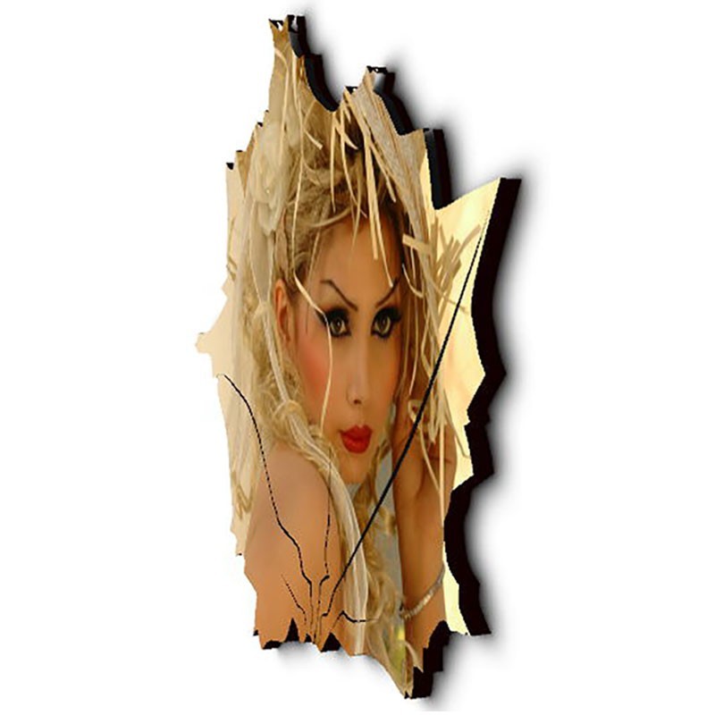 شاسی طرح دار جی اچ استور کد F265