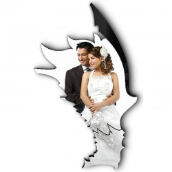 شاسی طرح دار جی اچ استور کد F277