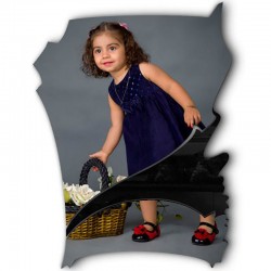 شاسی طرح دار جی اچ استور کد F278