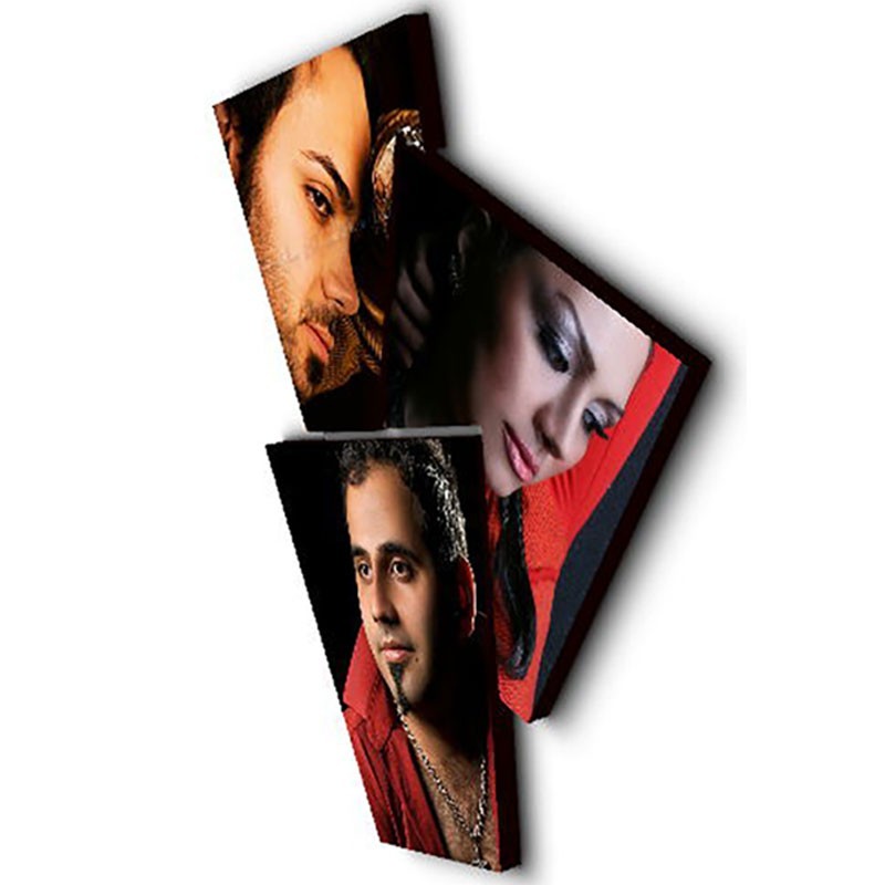 شاسی طرح دار جی اچ استور کد F286