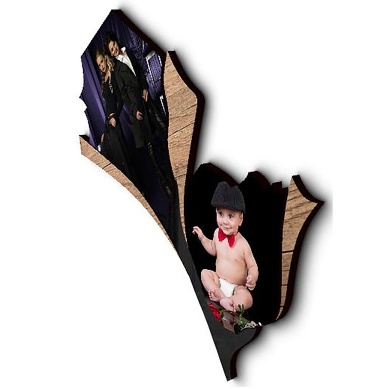 شاسی طرح دار جی اچ استور کد F290