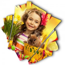 شاسی طرح دار جی اچ استور کد F293