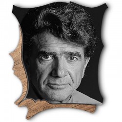 شاسی طرح دار جی اچ استور کد F314