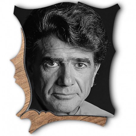 شاسی طرح دار جی اچ استور کد F314