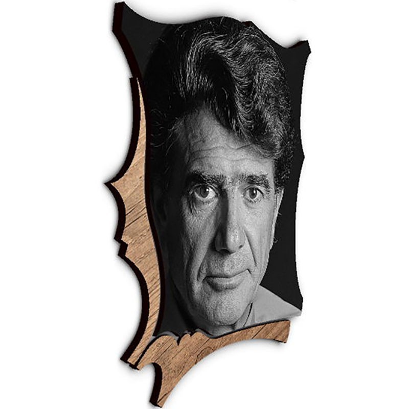 شاسی طرح دار جی اچ استور کد F314