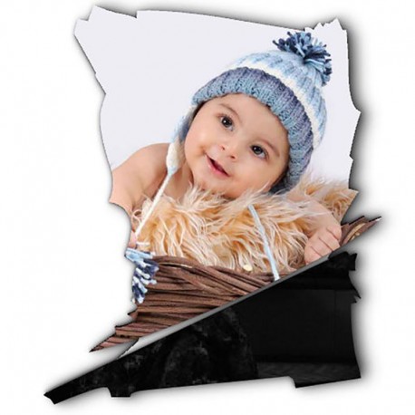 شاسی طرح دار جی اچ استور کد F231