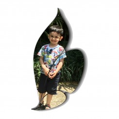 شاسی طرح دار کد F101