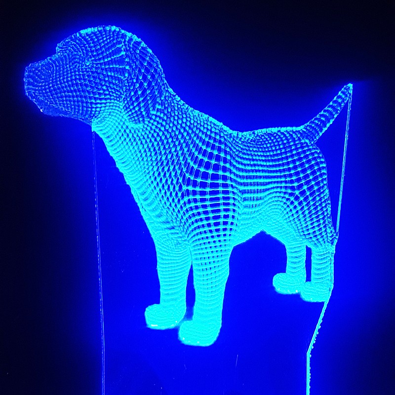 چراغ خواب سه بعدی طرح سگ