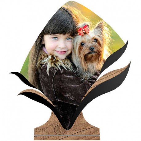 شاسی طرح دار جی اچ استور کد F122