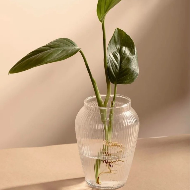 گلدان شیشه ای