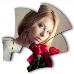 شاسی طرح دار جی اچ استور کد F150